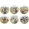 Set of 6 Decorative Ceramic Plates - Farm Animals - 8 Inch Diameter - Farmhouse Collection from Primitives by Kathy