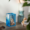 Decorative Beach Shell Holder Box - I Always Take A Piece Of The Beach Home - 7.25 In x 4.25 In from Primitives by Kathy