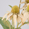 Set of 12 Decorative Artificial Botanical Floral Picks - Cream Coneflower 19.75 Inch from Primitives by Kathy