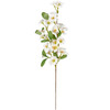 Set of 12 Decorative Artficial Floral Botanical Picks - Crabapple 22 Inch from Primitives by Kathy