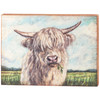 Decorativd Wooden Box Sign Wall Decor - Farmhouse White Highland Cow In Field 22x16 from Primitives by Kathy