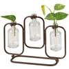 Decoratuve Glass Trio Test Tube Vase (3 Glass Bottle Vessels) 11.75 Inch Botanical Collection from Primitives by Kathy
