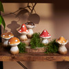 Set of 12 Medium Decorative Stoneware Mushroom Figurines In Wooden Crate from Primitives by Kathy