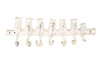 Handcrafted Whitewashed Cast Iron Cat Wall Hooks 13" from Hampton Creations Handcrafted Whitewashed Cast Iron Cat Wall Hooks 13" from Hampton Creations