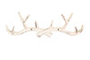 Handcrafted Whitewashed Cast Iron Antler Wall Hooks 15" from Hampton Creations Handcrafted Whitewashed Cast Iron Antler Wall Hooks 15" from Hampton Creations