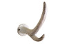 Handcrafted Whitewashed Cast Iron Antler Hook 5" from Hampton Creations Handcrafted Whitewashed Cast Iron Antler Hook 5" from Hampton Creations