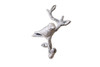 Handcrafted Whitewashed Cast Iron Decorative Bird Hook 6" from Hampton Creations