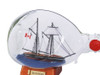 Handcrafted Bluenose Sailboat in a Glass Bottle 7" from Hampton Creations