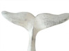 Handcrafted Rustic Whitewashed Cast Iron Decorative Whale Tail Hook 5" from Hampton Creations Handcrafted Rustic Whitewashed Cast Iron Decorative Whale Tail Hook 5" from Hampton Creations