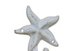 Handcrafted Whitewashed Cast Iron Starfish Hook 4" from Hampton Creations Handcrafted Whitewashed Cast Iron Starfish Hook 4" from Hampton Creations
