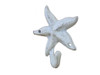 Handcrafted Whitewashed Cast Iron Starfish Hook 4" from Hampton Creations Handcrafted Whitewashed Cast Iron Starfish Hook 4" from Hampton Creations