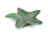 Handcrafted Antique Bronze Cast Iron Starfish Decorative Bowl 8" from Hampton Creations Handcrafted Antique Bronze Cast Iron Starfish Decorative Bowl 8" from Hampton Creations