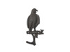 Handcrafted Cast Iron Eagle Sitting on a Tree Branch Decorative Metal Wall Hook 6.5" from Hampton Creations Handcrafted Cast Iron Eagle Sitting on a Tree Branch Decorative Metal Wall Hook 6.5" from Hampton Creations