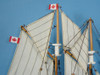 Handcrafted Wooden Bluenose Model Sailboat Decoration 17" from Hampton Creations