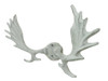 Handcrafted Whitewashed Cast Iron Moose Antlers Decorative Metal Wall Hooks 9" from Hampton Creations Handcrafted Whitewashed Cast Iron Moose Antlers Decorative Metal Wall Hooks 9" from Hampton Creations