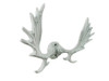 Handcrafted Whitewashed Cast Iron Moose Antlers Decorative Metal Wall Hooks 9" from Hampton Creations Handcrafted Whitewashed Cast Iron Moose Antlers Decorative Metal Wall Hooks 9" from Hampton Creations