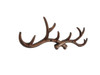 Handcrafted Rustic Copper Cast Iron Antler Wall Hooks 15" from Hampton Creations Handcrafted Rustic Copper Cast Iron Antler Wall Hooks 15" from Hampton Creations