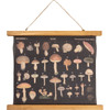 Mushroom Print Design Decorative Canvas Wall Décor Hanging 19.25 Inch x 15.75 Inch from Primitives by Kathy