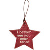 Set of 5 Star Shaped Wooden Gift Tags (This Was Not On Your List) from Primitives by Kathy