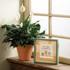 Home Is Where My Plants Are Rattan Back Decorative Inset Wooden Box Sign Décor 10x10 from Primitives by Kathy