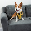 Small Yellow & Black Reversible Cotton Dog Bandana - Best Corgi Ever & Love My Human - 16x16 from Primitives by Kathy