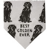 Black & White Large Reversible Cotton Dog Bandana - Best Golden Ever & Love My Human 21x21 from Primitives by Kathy