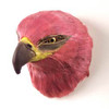 Hand Painted Bird Refrigerator Magnet - Golden Eagle Feathered From Conversation Concepts