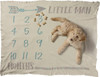 Little Man Decorative Cotton Baby Milestone Blanket 42x36 from Primitives by Kathy