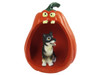 Dog Lover Hand-painted Figurine - Alaskan Malamute Halloween Statue And Spooky Pumpkin From Conversation Concepts