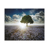 Solitary Sentinel: Luminous Landscape, Blue Wildflower Field - Unframed Canvas Wall Art Decor