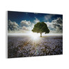 Solitary Sentinel: Luminous Landscape, Blue Wildflower Field - Unframed Canvas Wall Art Decor