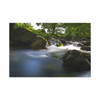 Whispers of the Woodland Stream: Moss-Covered Stones, Ethereal Long-Exposure Water - Unframed Canvas Wall Art Decor