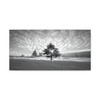 Winter's Solitude: Lone Evergreen in Snow, Black and White Landscape Photography - Unframed Canvas Wall Art Decor
