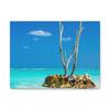 Resilient Solitude: Tropical Seascape, Minimalist Landscape Photography - Unframed Canvas Wall Art Decor