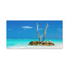 Resilient Solitude: Tropical Seascape, Minimalist Landscape Photography - Unframed Canvas Wall Art Decor