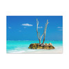 Resilient Solitude: Tropical Seascape, Minimalist Landscape Photography - Unframed Canvas Wall Art Decor