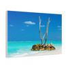 Resilient Solitude: Tropical Seascape, Minimalist Landscape Photography - Unframed Canvas Wall Art Decor