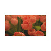 Fringed Coral Tulips: Botanical Elegance in Bloom, Spring Garden Symphony  - Unframed Canvas Wall Art Decor