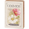Set of 3 Flower Themed Seed Packet Design Decorative Wooden Block Signs - Cosmos & Morning Glory & Zinnia from Primitives by Kathy