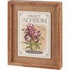 Decorative Inset Wooden Box Sign Decor - Sweet Alyssum Flower Sunny Seed Co. 8x10 from Primitives by Kathy