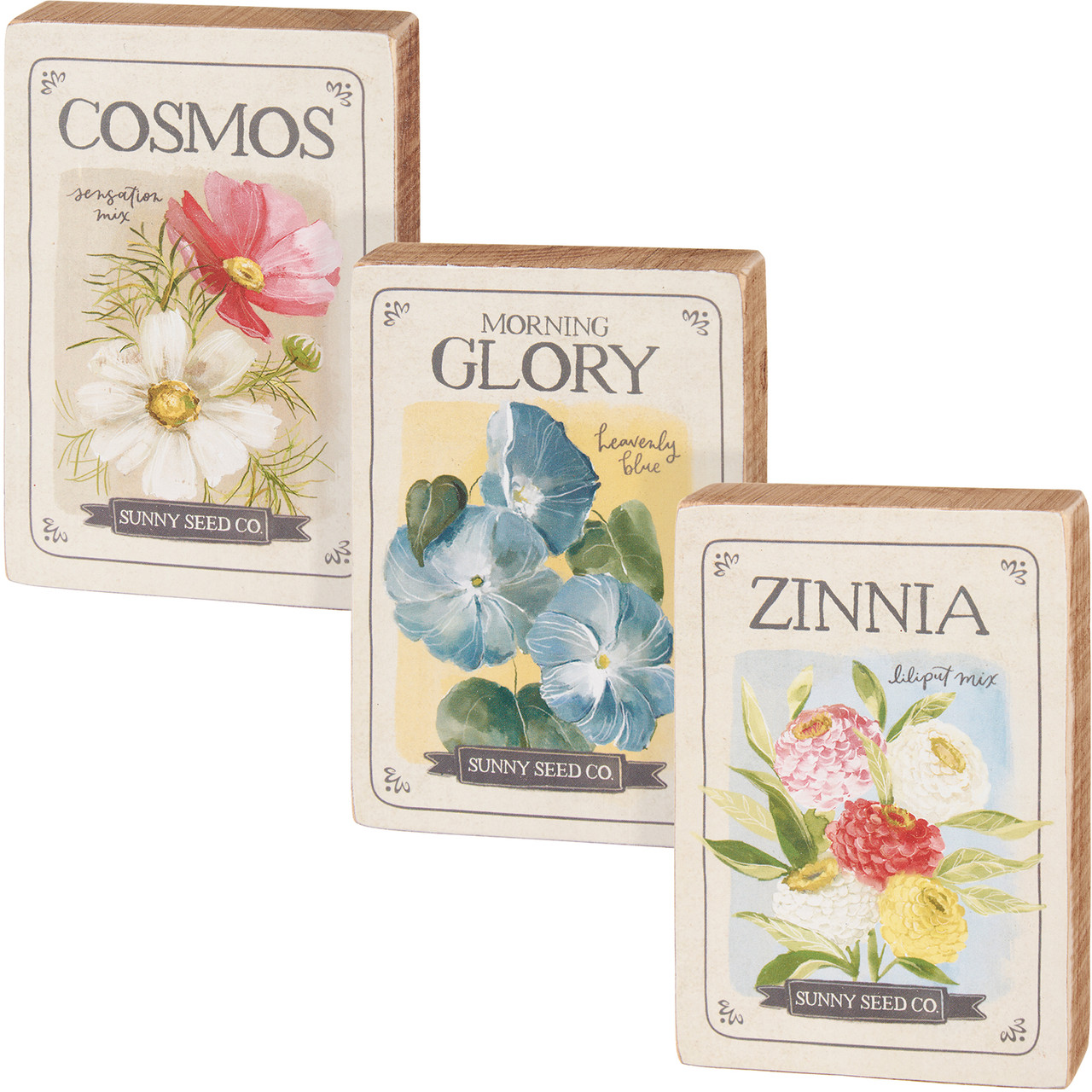 Set of 3 Flower Themed Seed Packet Design Decorative Wooden Block Signs -  Cosmos & Morning Glory & Zinnia from Primitives by Kathy