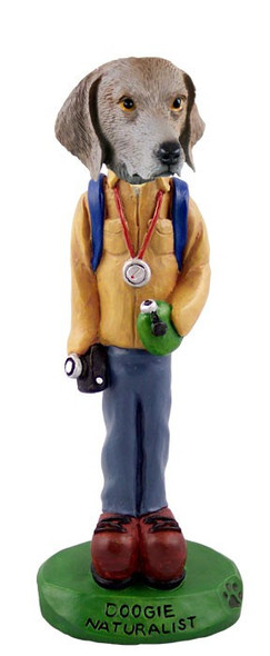 Weimaraner Naturalist Doogie Collectible Dog Figurine