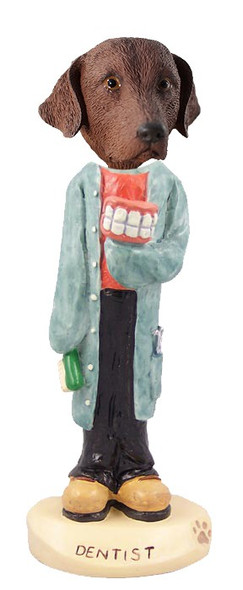 Chesapeake Bay Retriever Dentist Doogie Collectible Dog Figurine