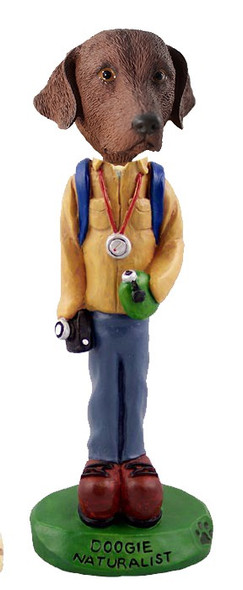 Chesapeake Bay Retriever Naturalist Doogie Collectible Dog Figurine