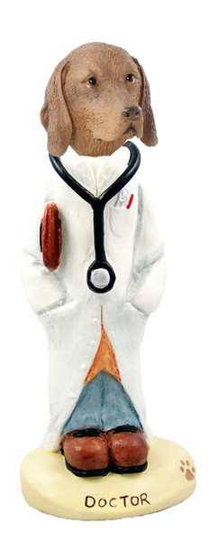 Vizsla Doctor Doogie Collectible Dog Figurine