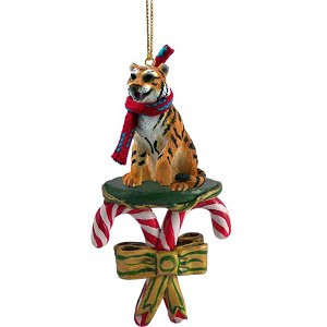 Bengal with Candy Canes Christmas Ornament – Hand-Painted Stone Resin