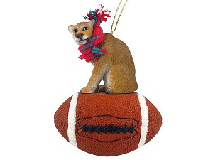Cougar on Football Christmas Ornament – Hand-Painted Stone Resin