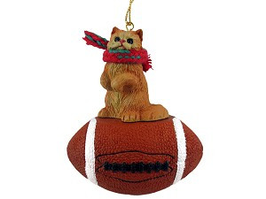 Red Persian Cat on Football Christmas Ornament – Hand-Painted Stone Resin