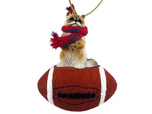 Yorkshire Terrier Cat on Football Christmas Ornament – Hand-Painted Stone Resin