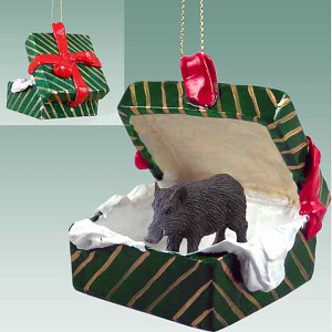 Green Gift Box Razorback Hog in Green Gift Box Christmas Ornament – Hand-Painted Stone Resin